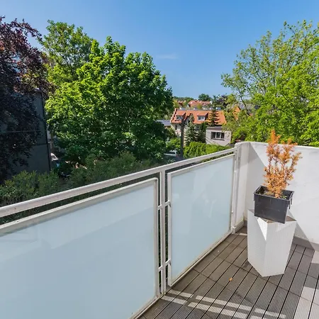 Szary&zielony By Grand *